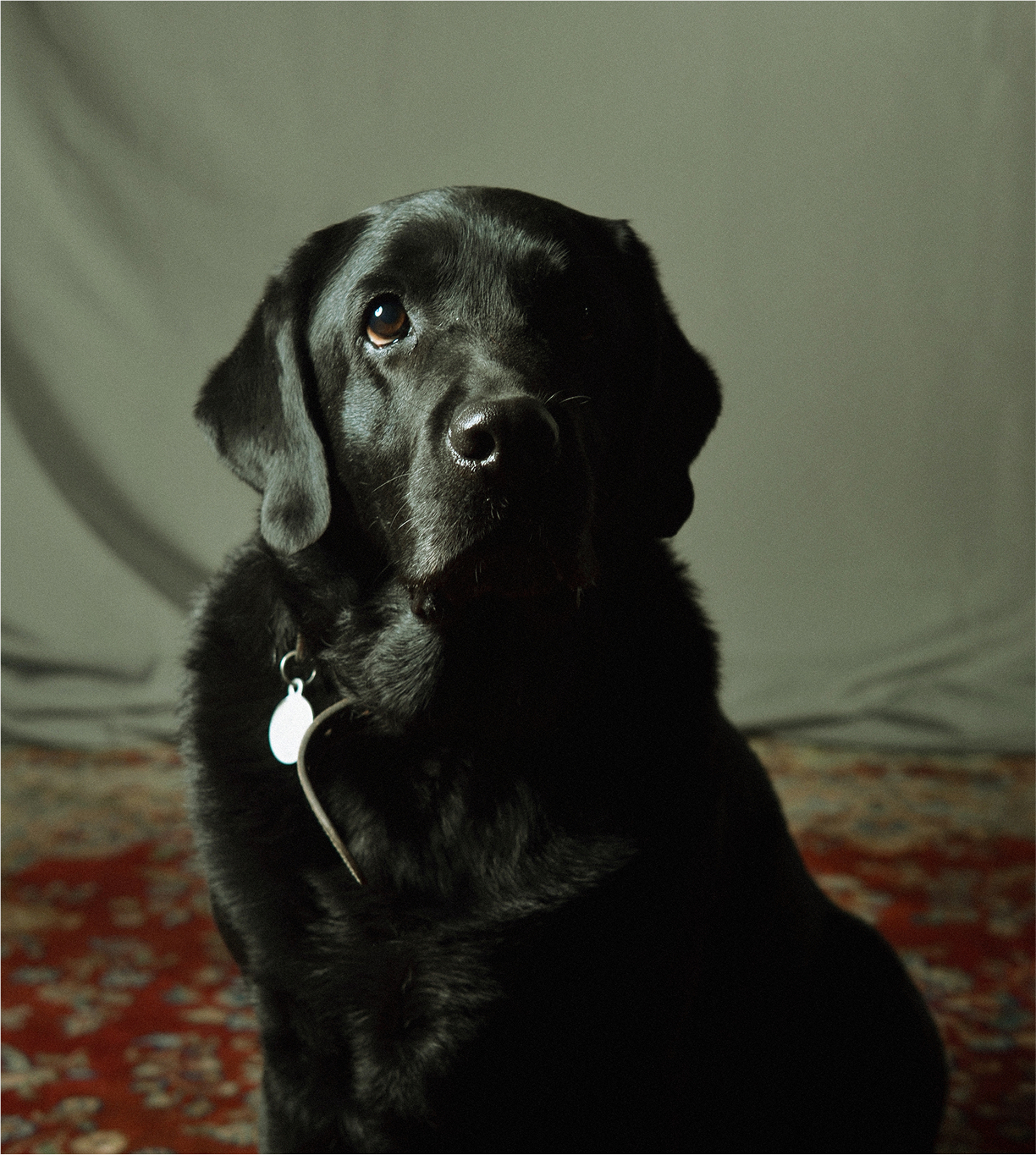 Sherlock